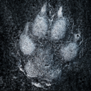 greencreekweeks avatar