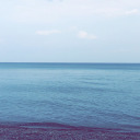 greendaisywitch avatar