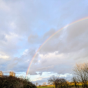 greeneyedgirlia avatar