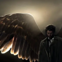 greeneyedgrasshopperandhisangel avatar