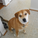 greeneyedporcupine avatar