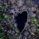 greeneyesandcitylights avatar