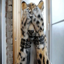 greenfigtoast avatar