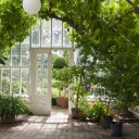 greenhousethree avatar