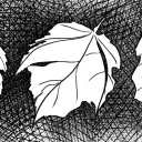 greenlodgecypher avatar