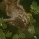 greenlovesstuff avatar