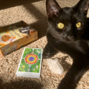 greenmagicksoracle avatar