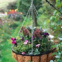 greenparispavement avatar