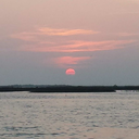 greenpitbullzombie avatar