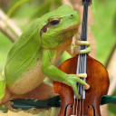 greens-thearem avatar