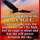 greensideupfan avatar