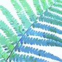 greentreeinmyheart avatar