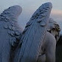 greenvertumna avatar