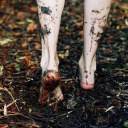 greenwitchvibes avatar