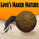 gregbowdish-blog-blog avatar