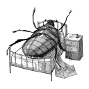 gregor-samsa-daily avatar