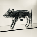 gremlinshatephilosophers avatar