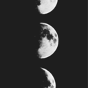 grey-serenity avatar