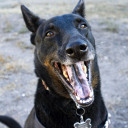 greyramblings avatar