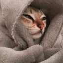 griffinwingss avatar