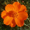 grimalkins-stuff avatar