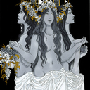 grimalkinthewitchassassin avatar