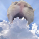 grimatticfinds avatar