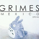 grimes-mxico-oficial avatar