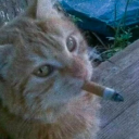 grimeyboy-jake avatar