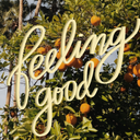 grimmillusions avatar