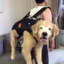 grimoire-of-death avatar