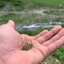 grindonmyuniform avatar