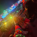 gringafrijolera avatar