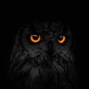 grinningblackowl avatar