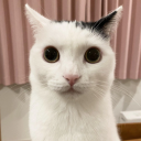 grippysockhell avatar