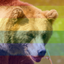 grizzly-bear-official avatar