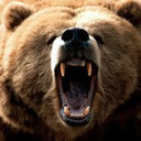 grizzlybearlaughs avatar