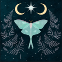 grizzlyturtle40 avatar