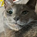 groovingstarz avatar