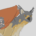 grounded-gryphon avatar