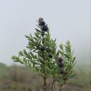 groupingoffears avatar