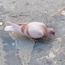 grow-so-incredibly-blog avatar