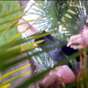 growing-indigo avatar