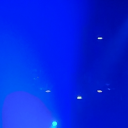 growing-jax-pig avatar