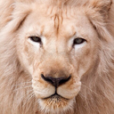 growing-paiins avatar