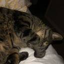 growingenough avatar