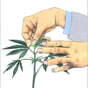 growpot420 avatar