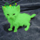 grumblrmoment avatar