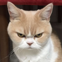 grumpy-kat avatar