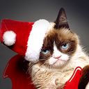 grumpycatsworstchristmasever avatar